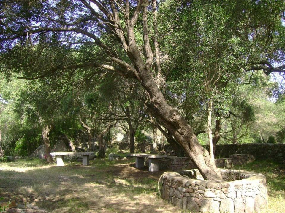 B&B L' Incantu Santa Teresa Gallura Exteriör bild